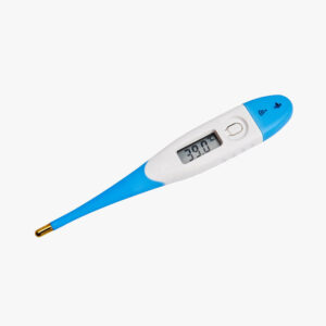 Digital Thermometer